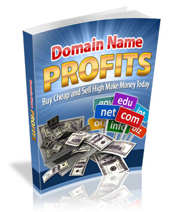 domain name profits