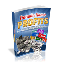 domain name profits