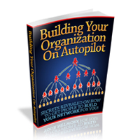 building your organization autopilot