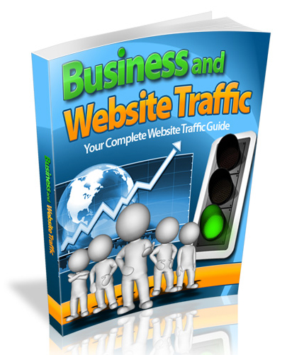 business website traffic
