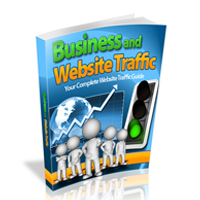 business website traffic