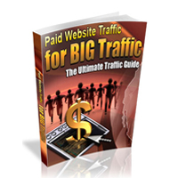 paid website traffic big traffic