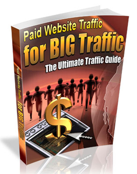 paid website traffic big traffic