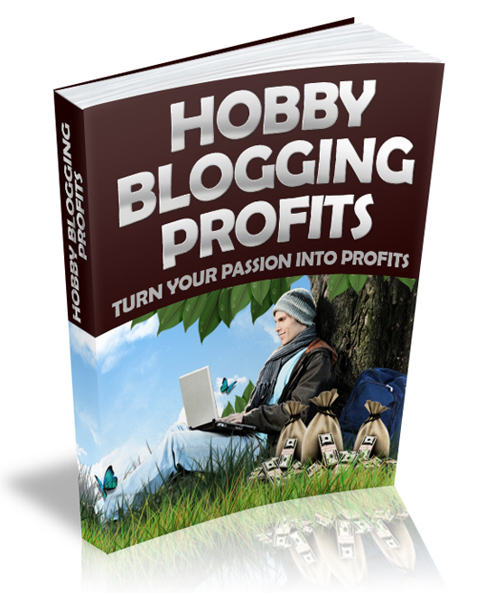 hobby blogging profits