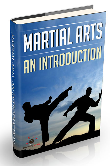 martial arts introduction