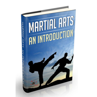 martial arts introduction