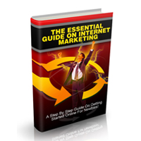 essential guide internet marketing