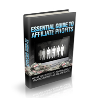 essential guide affiliate profits