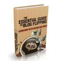 essential guide blog flipping