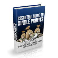 essential guide kindle profits