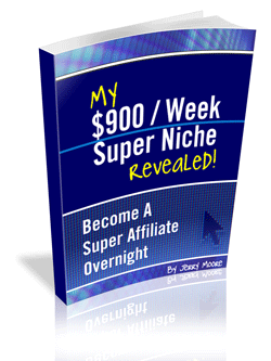 900week super niche revealed