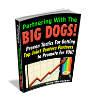 partnering big dog