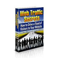 web traffic secrets