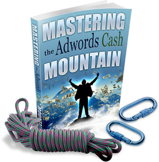 mastering adwords cash mountain