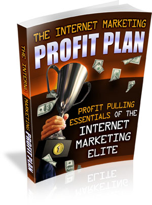 internet marketing profit plan