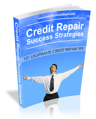 credit repair success strategies