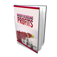 bigger blogging profits