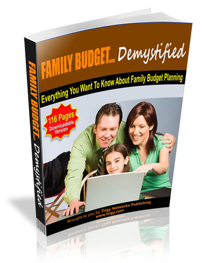 family budget demystified