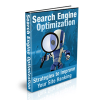 search engine optimization strategies improve
