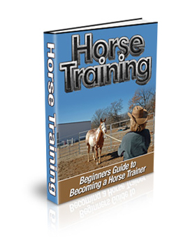 horse training