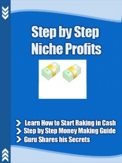 step by step niche profits