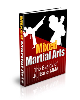 mixed martial arts