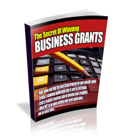 secrets winning business grants