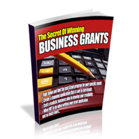 secrets winning business grants