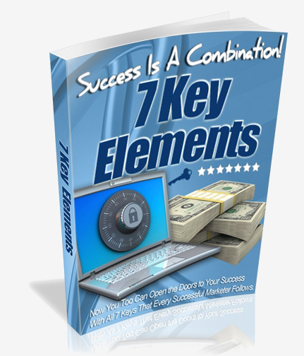 seven key elements online success