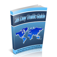 28 day traffic guide