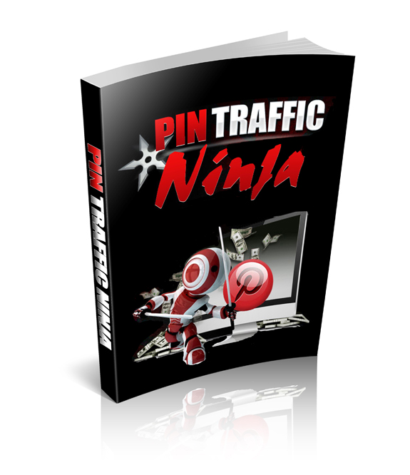 pin traffic ninja