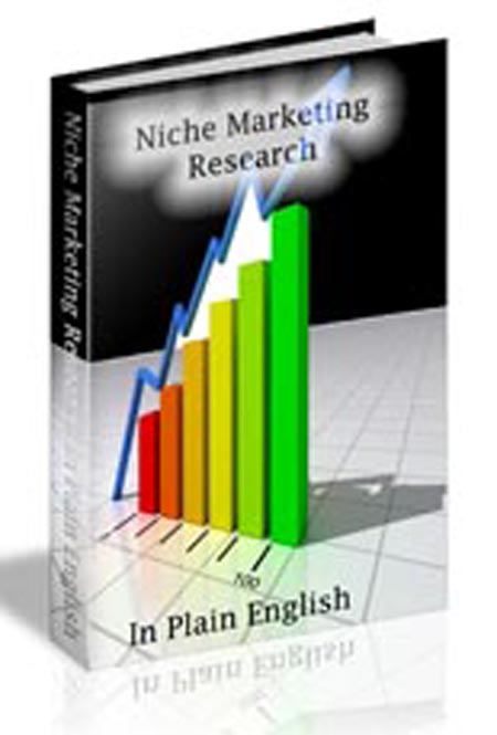 niche marketing research plain english