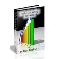 niche marketing research plain english