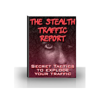 stealth traffic report