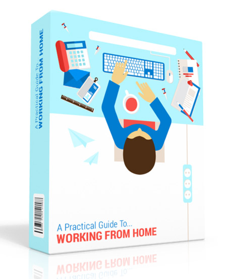 practical guide working home