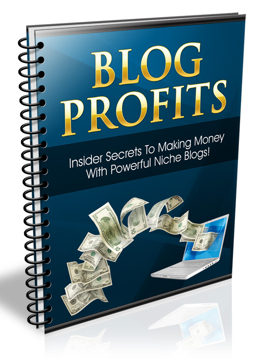 blog profits