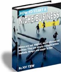 start niche business internet