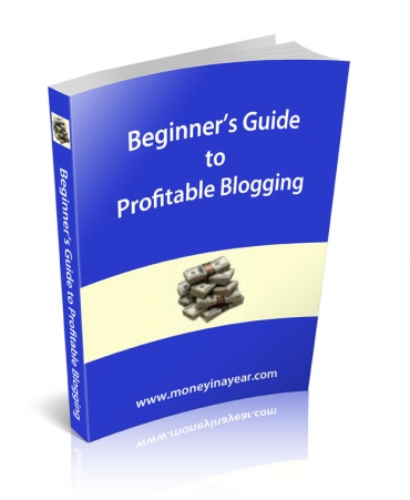 beginner guide profitable blogging