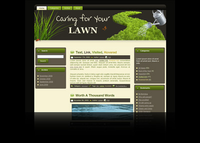 caring your lawn