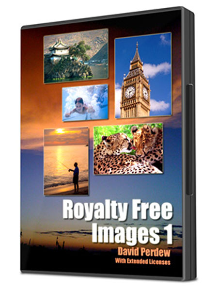 200 royalty free images