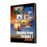 200 royalty free images