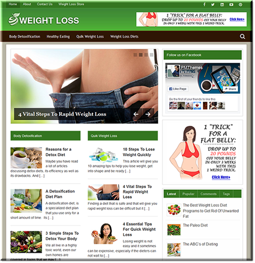 weight loss plr niche blog