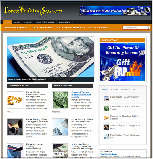 forex niche plr blog