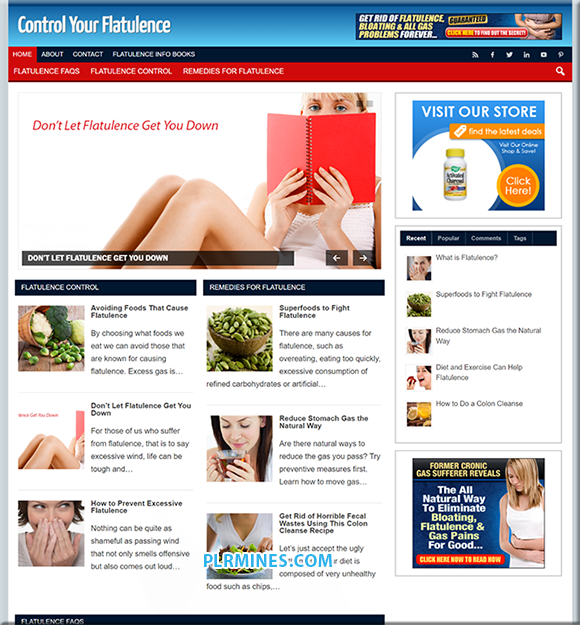 flatulence control plr website