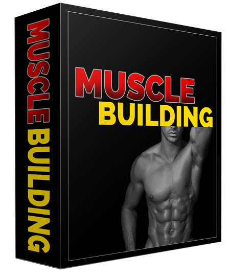 muscle building software