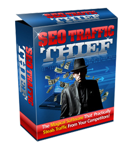 seo traffic thief