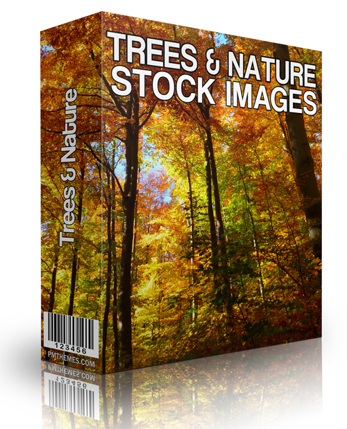 trees nature stock images