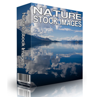 nature stock photos