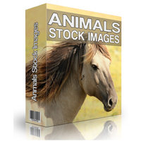 animal stock images