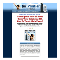 air purifiers niche site